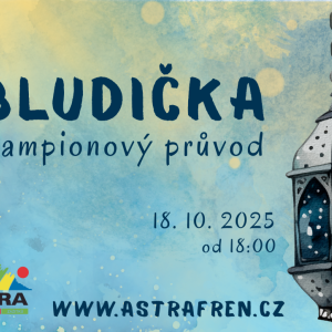 Bludička
